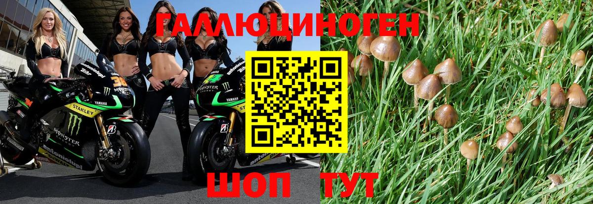Псилоцибиновые грибы прущие грибы Корсаков